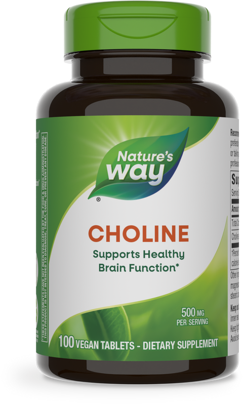 Choline 500 mg 100 tabs
